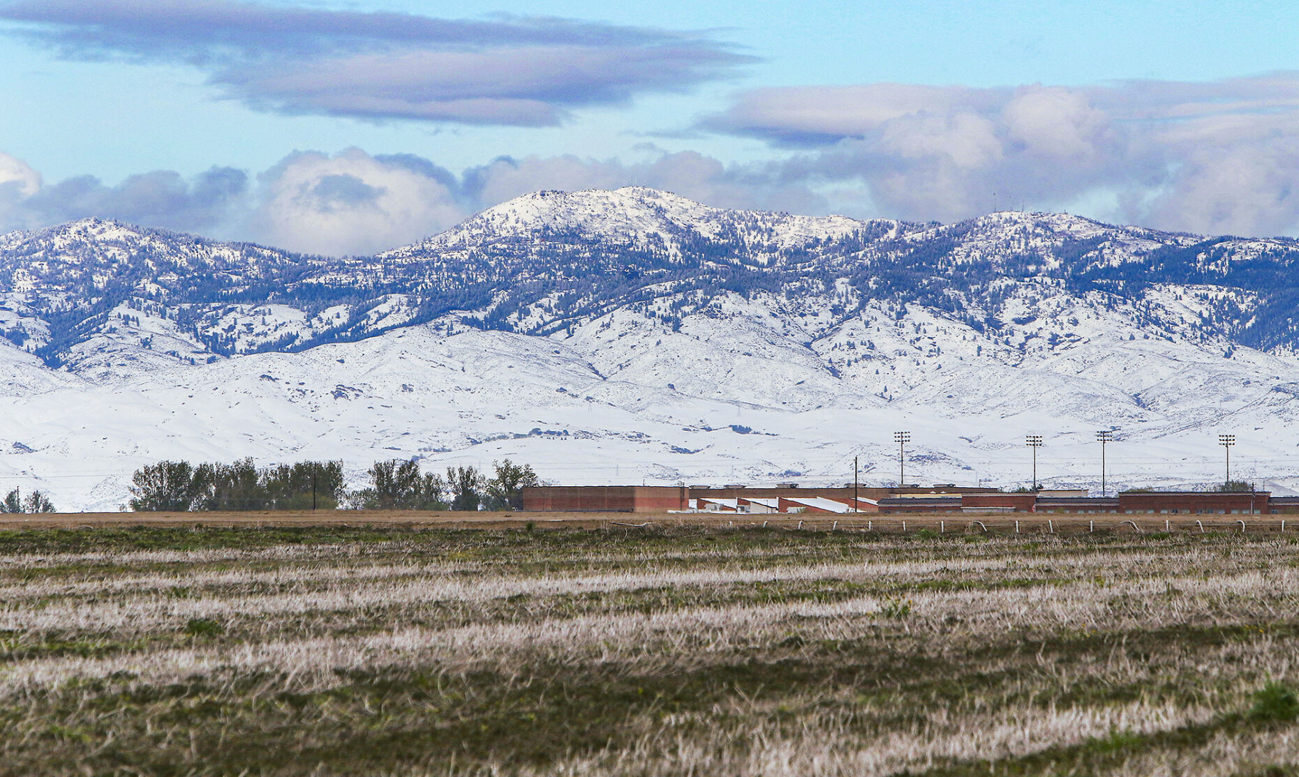 Snow Pack